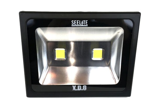 Reflector LED 100W FLO100WIP65 - Ecolite